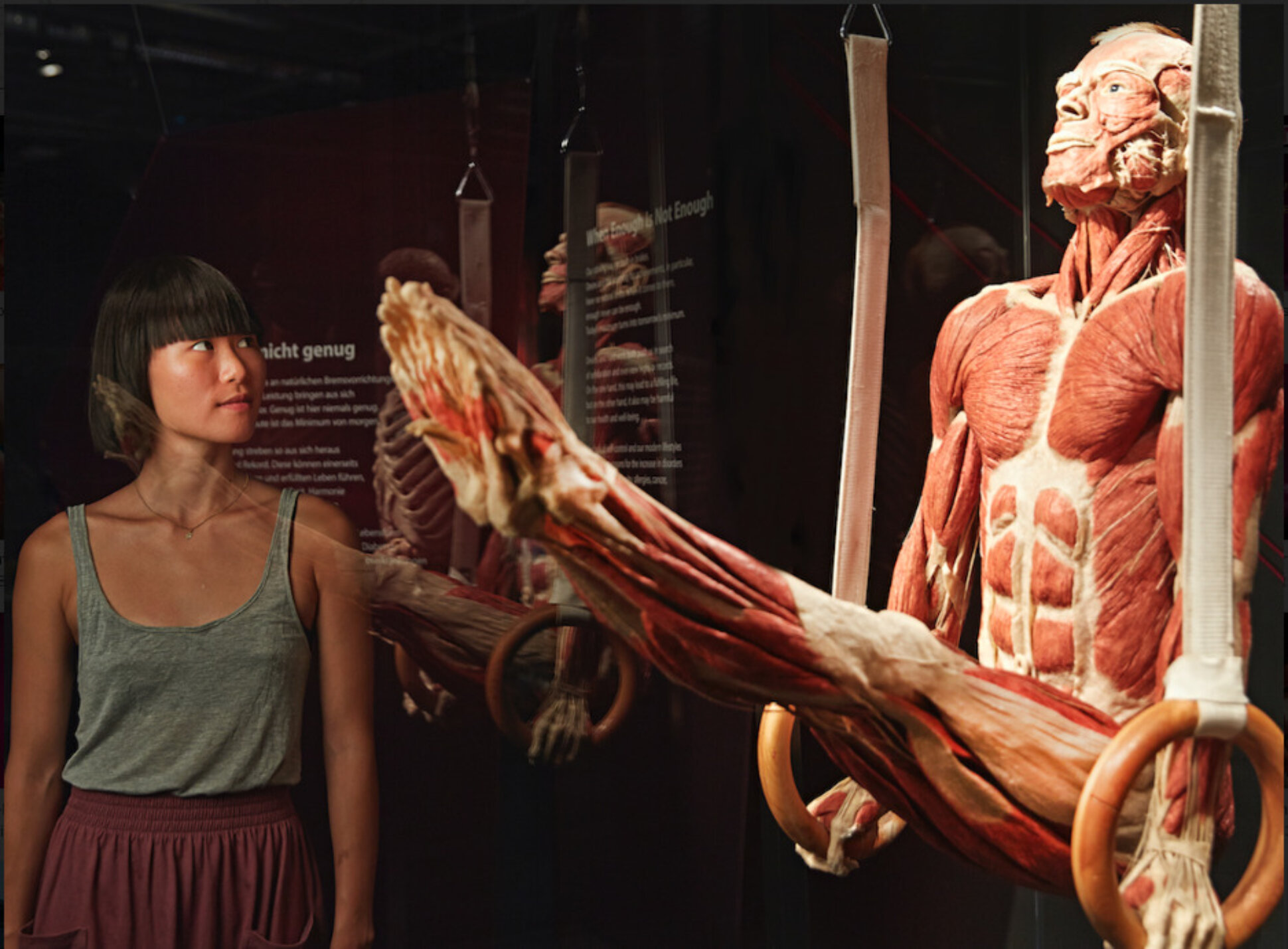 Körperwelten-Exponat Turnen - Case Study - trafficdesign online marketing agentur