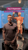 Körperwelten top 3 exponate