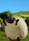 Shirley-Shaun-das-Schaf