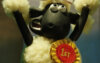 Nahaufnahme eines Shaun das Schaf in einer triumphierenden Siegerpose mit hochgehaltenen Armen, das eine goldene Siegerrosette mit der Aufschrift „1st“ auf seiner Wollbrust und ein rot-weiß gepunktetes Schleifchen trägt.